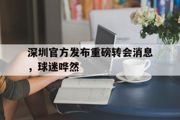 包含深圳官方发布重磅转会消息，球迷哗然的词条